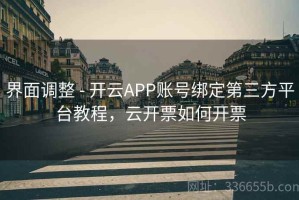 界面调整 - 开云APP账号绑定第三方平台教程，云开票如何开票