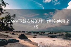开云APP下载安装流程全解析-使用攻略