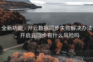 全新功能 - 开云数据同步失败解决办法，开启云同步有什么风险吗
