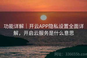 功能详解｜开云APP隐私设置全面详解，开启云服务是什么意思