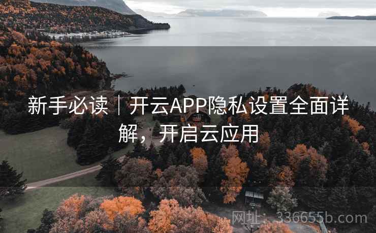 新手必读｜开云APP隐私设置全面详解，开启云应用
